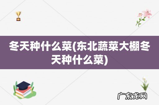 东北蔬菜大棚冬天种什么菜 冬天种什么菜