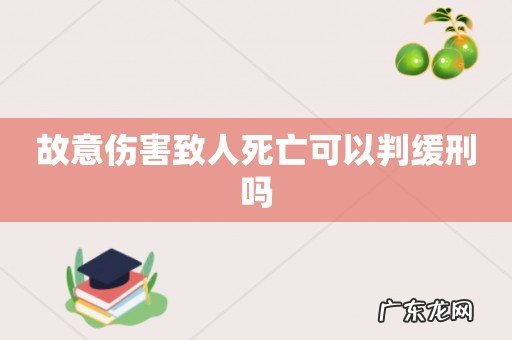 故意伤害致人死亡可以判缓刑吗