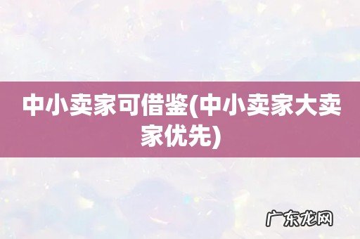 中小卖家大卖家优先 中小卖家可借鉴