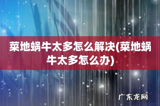 菜地蜗牛太多怎么办 菜地蜗牛太多怎么解决