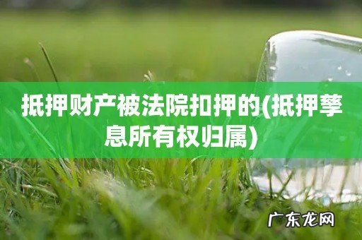 抵押孳息所有权归属 抵押财产被法院扣押的