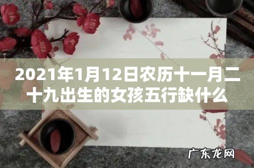 2021年1月12日农历十一月二十九出生的女孩五行缺什么