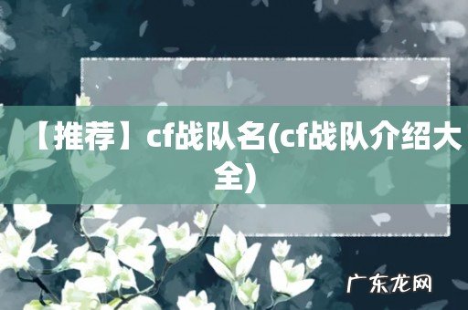 cf战队介绍大全 【推荐】cf战队名