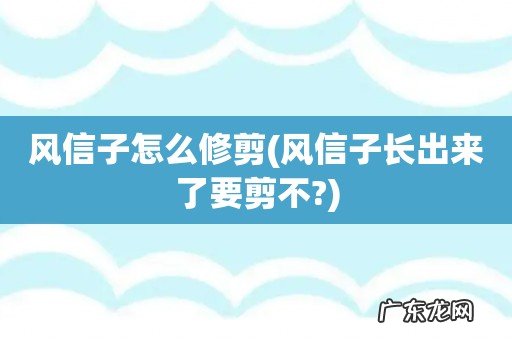风信子长出来了要剪不? 风信子怎么修剪