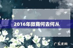 2016年微商何去何从