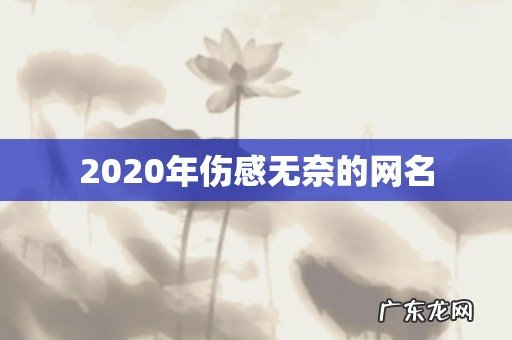 2020年伤感无奈的网名