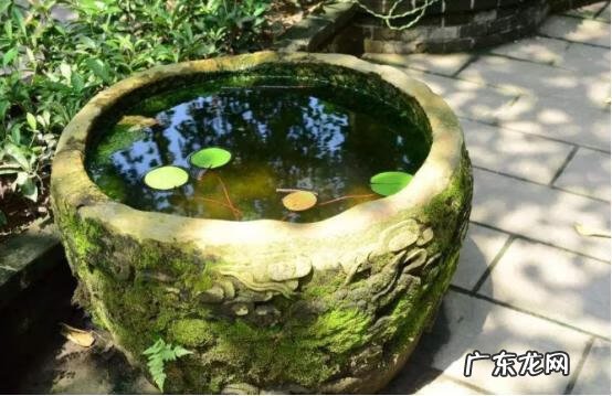 庭院水缸风水 房屋放水缸风水