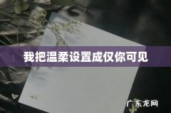 我把温柔设置成仅你可见