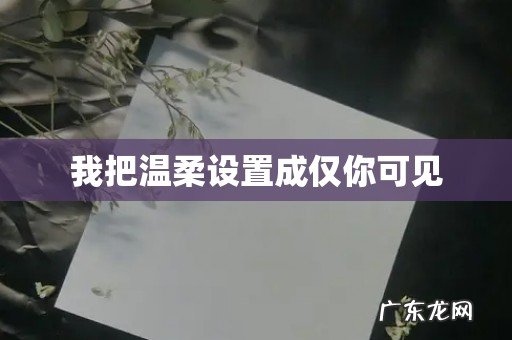 我把温柔设置成仅你可见