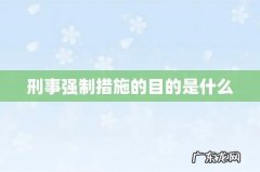 刑事强制措施的目的是什么