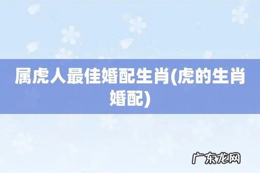 虎的生肖婚配 属虎人最佳婚配生肖