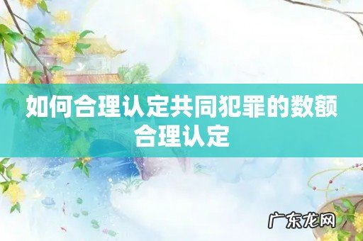 如何合理认定共同犯罪的数额合理认定