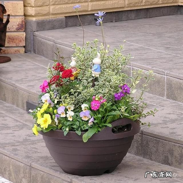 九龙招财风水阵法 五龙祥云风水阵