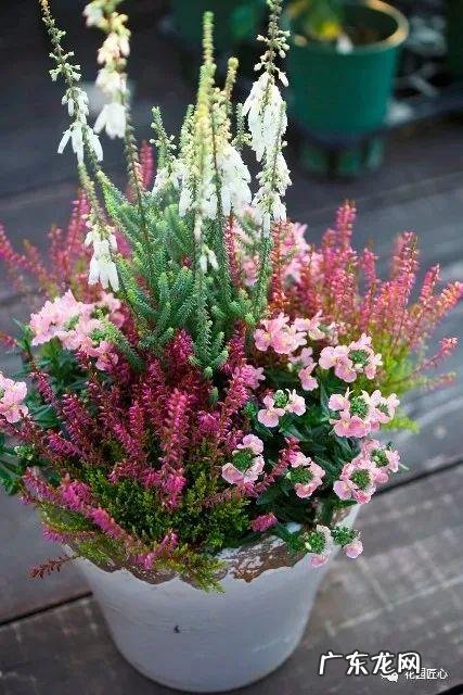 九龙招财风水阵法 五龙祥云风水阵