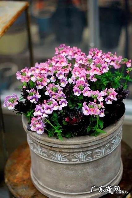 九龙招财风水阵法 五龙祥云风水阵