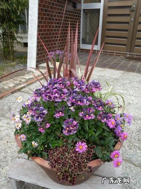 九龙招财风水阵法 五龙祥云风水阵