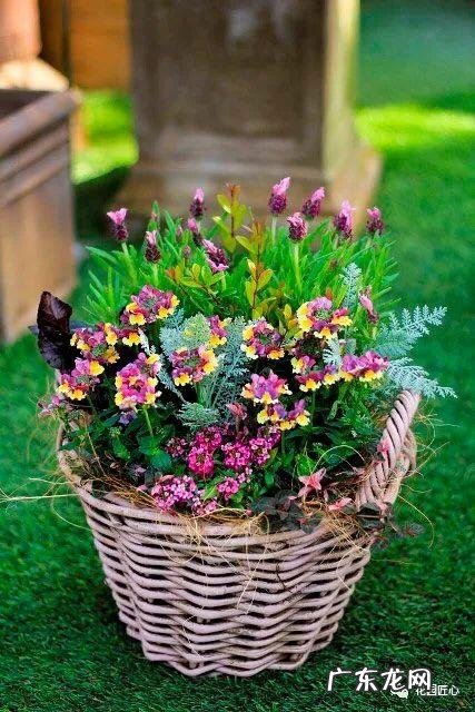 九龙招财风水阵法 五龙祥云风水阵