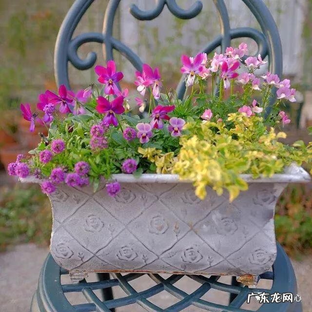 九龙招财风水阵法 五龙祥云风水阵