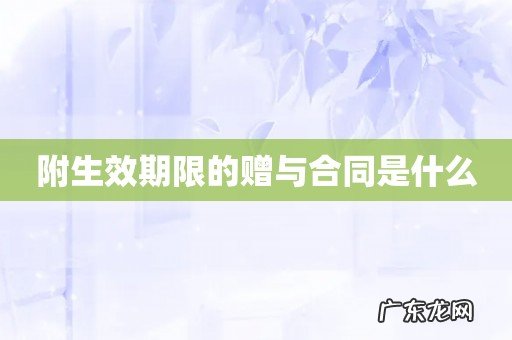 附生效期限的赠与合同是什么