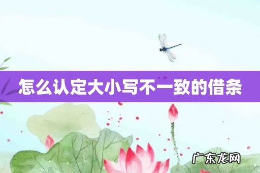 怎么认定大小写不一致的借条