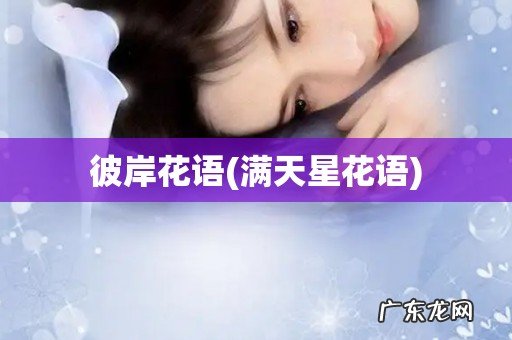 满天星花语 彼岸花语