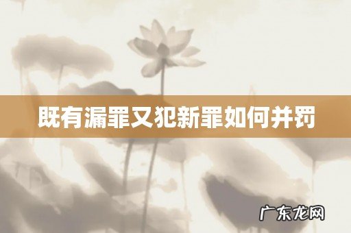 既有漏罪又犯新罪如何并罚