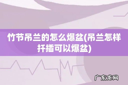 吊兰怎样扦插可以爆盆 竹节吊兰的怎么爆盆