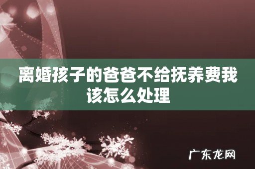 离婚孩子的爸爸不给抚养费我该怎么处理