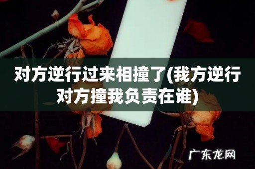 我方逆行对方撞我负责在谁 对方逆行过来相撞了