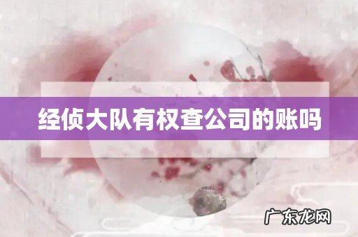 经侦大队有权查公司的账吗