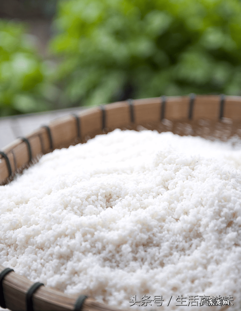 粽子的10种做法大全 粽子的各种做法大全