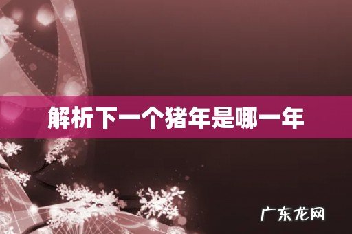 解析下一个猪年是哪一年