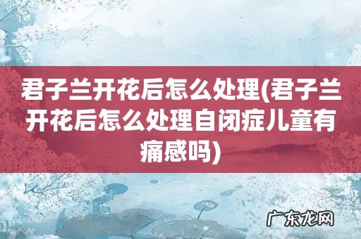 君子兰开花后怎么处理自闭症儿童有痛感吗 君子兰开花后怎么处理