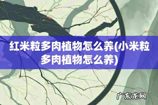 小米粒多肉植物怎么养 红米粒多肉植物怎么养