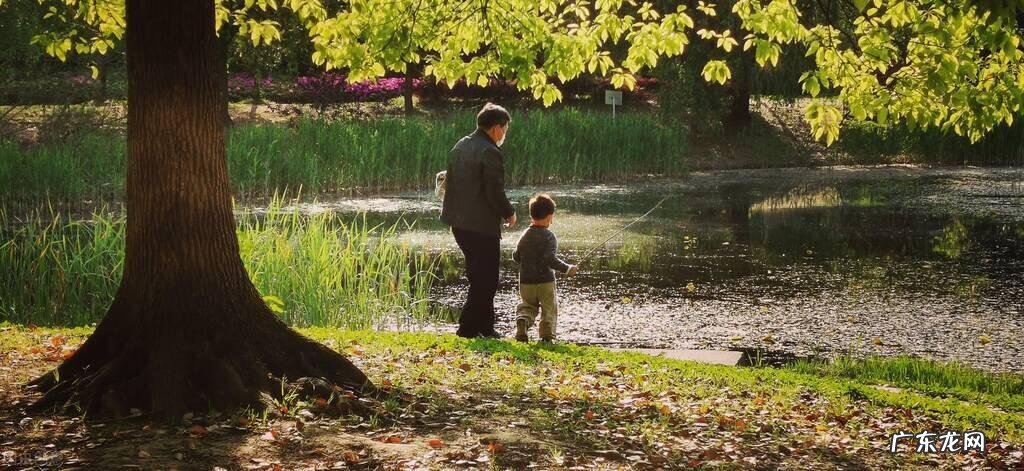 关于父爱的名言10句 关于父爱的名言名句