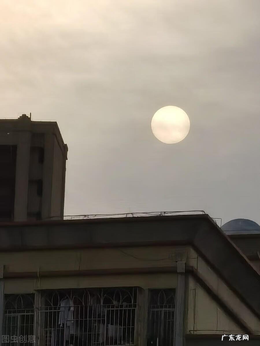 关于父爱的名言10句 关于父爱的名言名句