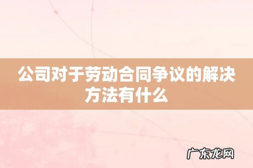 公司对于劳动合同争议的解决方法有什么