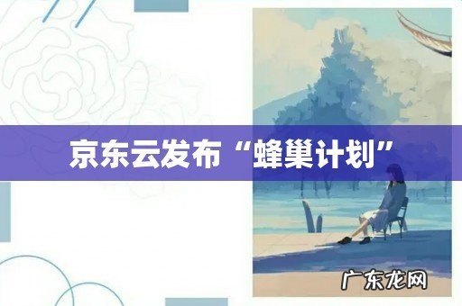 京东云发布“蜂巢计划”