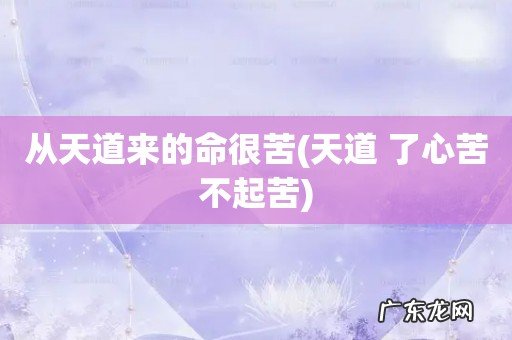 天道 了心苦不起苦 从天道来的命很苦