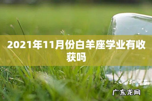 2021年11月份白羊座学业有收获吗