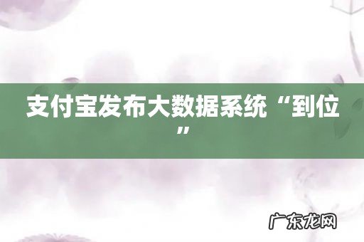 支付宝发布大数据系统“到位”