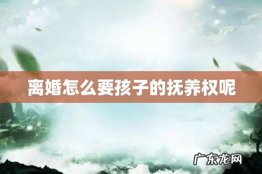 离婚怎么要孩子的抚养权呢