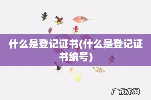 什么是登记证书编号 什么是登记证书