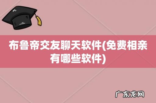 免费相亲有哪些软件 布鲁帝交友聊天软件