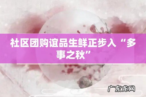 社区团购谊品生鲜正步入“多事之秋”
