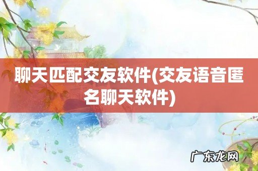 交友语音匿名聊天软件 聊天匹配交友软件