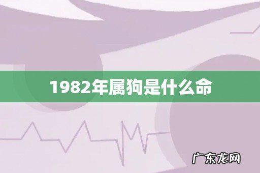 1982年属狗是什么命