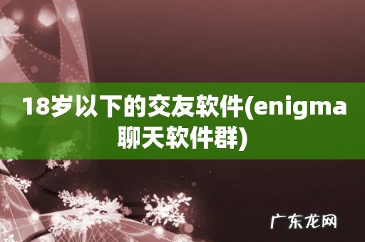 enigma聊天软件群 18岁以下的交友软件