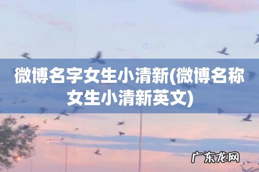 微博名称女生小清新英文 微博名字女生小清新