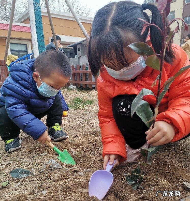 植树节来历和意义简介 植树节来历和意义简介20字